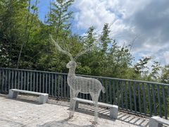 -长沙黑麋峰国家森林公园