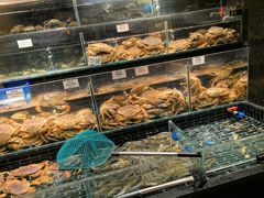 -衢农会·衢州菜·宴请(国际机场店)
