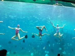 -瑞德姆美人鱼海底演艺主题餐厅(亚龙湾店)