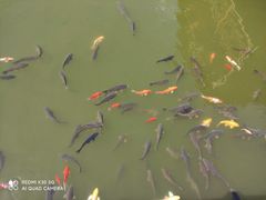 -参仙谷生态旅游度假区