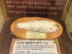 -信不信由你博物馆