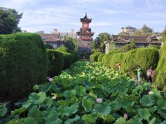 -四川大学(华西校区)