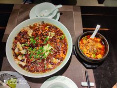 -陈麻婆豆腐总店