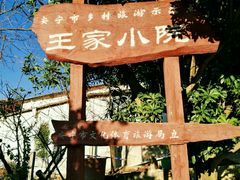 -王家小院