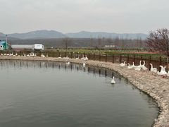 -红石沟生态休闲农场