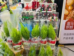 -盒马鲜生(顺义店)