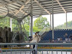 -泉州海丝野生动物世界