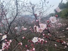 -天津盘山风景名胜区