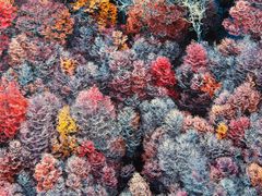 -罗红摄影艺术馆