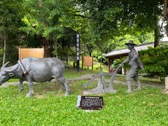 -广州神农草堂中医药博物馆