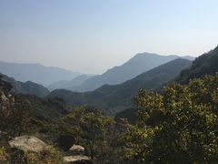 -大岭沟猕猴桃谷风景区