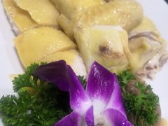 -绿雅居原生态农庄(小涌店)