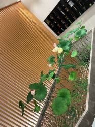 -圣梦亲体美肤生活馆