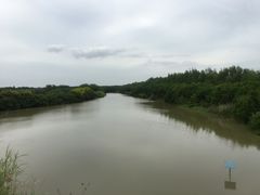-大湾区中央湿地公园-十九涌