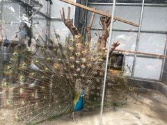 -南宁市动物园