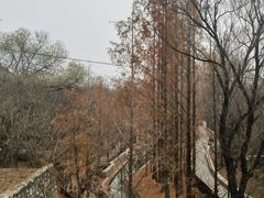 -白水寺森林公园