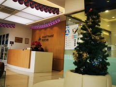 -天使口腔门诊部(上海店)