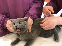 -惠康宠物医院(华能路店)