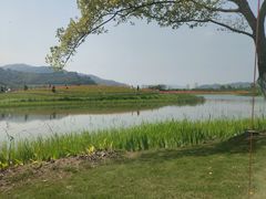 -径山花海