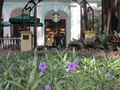 门面-星巴克臻选(广州沙面店)