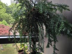 -大拙里·精致融合菜(沙湖桃源国际店)