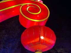 -长春市南湖公园