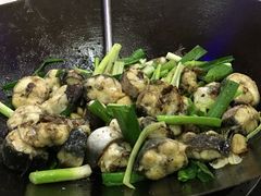 -鸽鸟轩(石岐店)