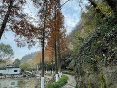 -幕燕滨江·长江观音景区