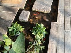 -邈墨茶馆(大兜路1号店)
