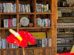 -看见远方·莫干遥远的山民宿