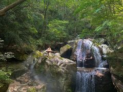 -牛背梁国家森林公园