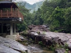 -广州白江湖森林公园