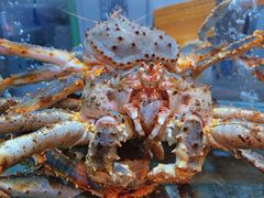 -海逸海鲜酒家(古北店)