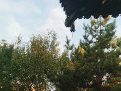 -迎泽公园
