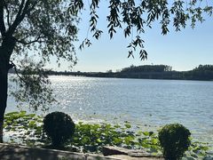-丁香湖公园