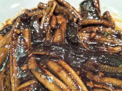 -蝶园·装修中(BFC外滩金融中心店)