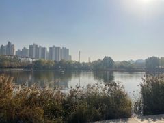 -南翠屏公园