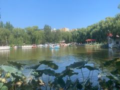 -丰台花园
