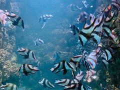 -海合安青岛极地海洋公园