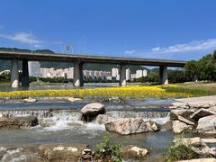 -永定河休闲森林公园