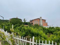 -大连北马山庄