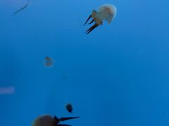 -常州海昌海洋探索馆