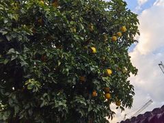 -王阳明故居