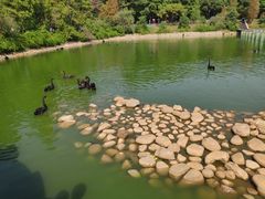 -鄱阳湖国家湿地公园