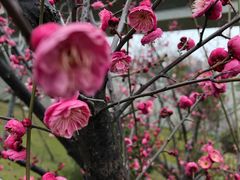 -侵华日军南京大屠杀遇难同胞纪念馆