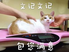 -安安宠医宠物医院·异宠·犬猫内科(岳阳分院)