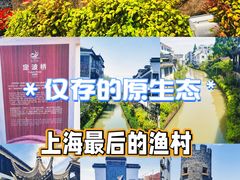 -金山嘴渔村