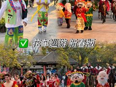 -灵玲国际马戏城