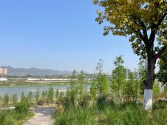 -金海湾滨江公园
