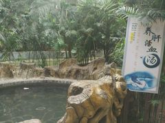 -龙达温泉生态城